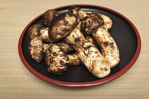 松茸が乗せられた木目調のお盆に並べられた6本