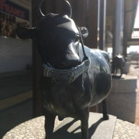 マスクを着けた松坂駅前の牛の銅像モニュメントの写真