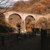 秋の紅葉に包まれた碓氷第三橋梁（めがね橋）の写真