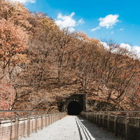 めがね橋上の木製遊歩道から続く鉄道トンネルの写真