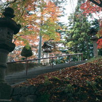 三春町の秋の三春神社参道で紅葉に包まれた石段と灯篭の写真