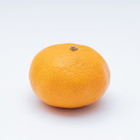 白い背景に置かれたオレンジ色の新鮮なみかんの写真