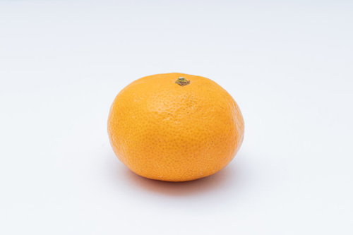白い背景に置かれたオレンジ色の新鮮なみかん