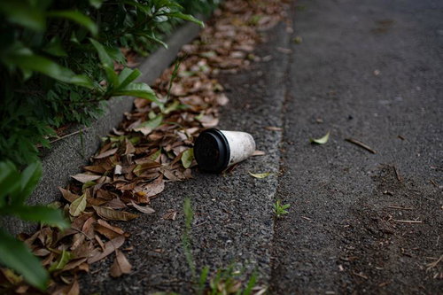 落ち葉が積もる歩道に無造作に捨てられている紙コップ