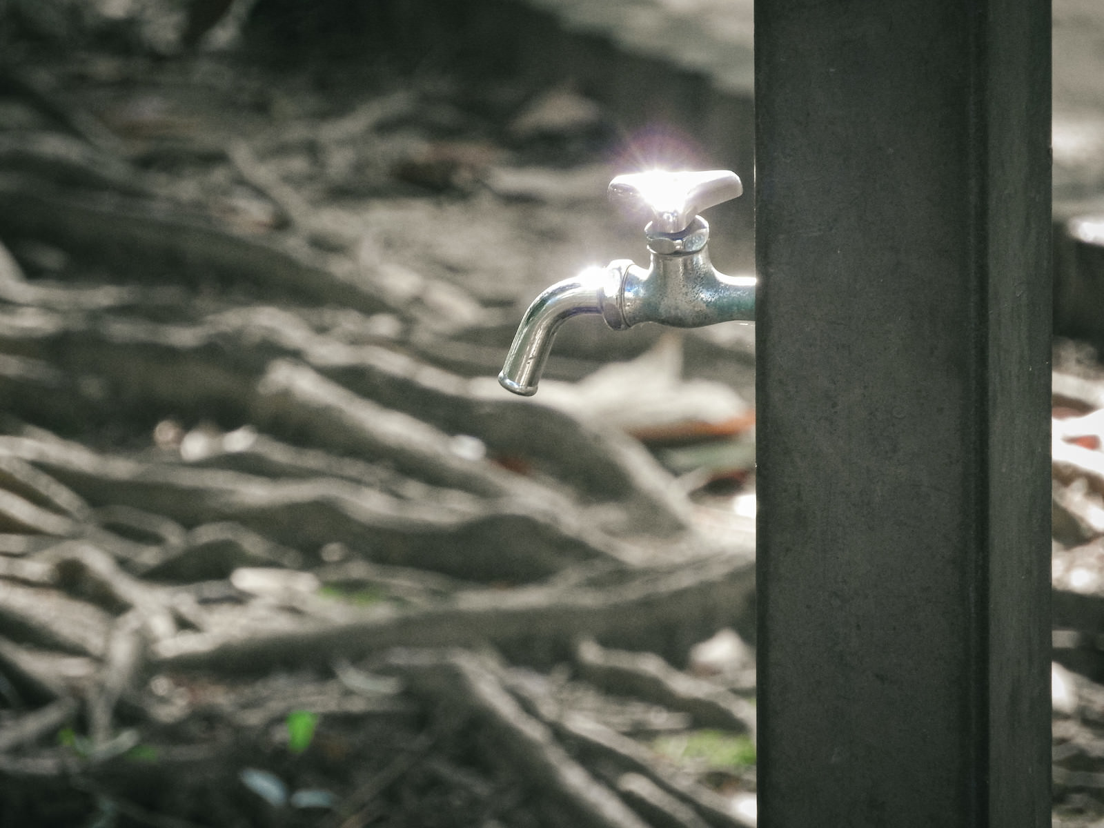 緑色の支柱に取り付けられた公園の水道設備