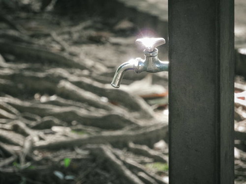 公園の緑色支柱に取り付けられた水道の蛇口