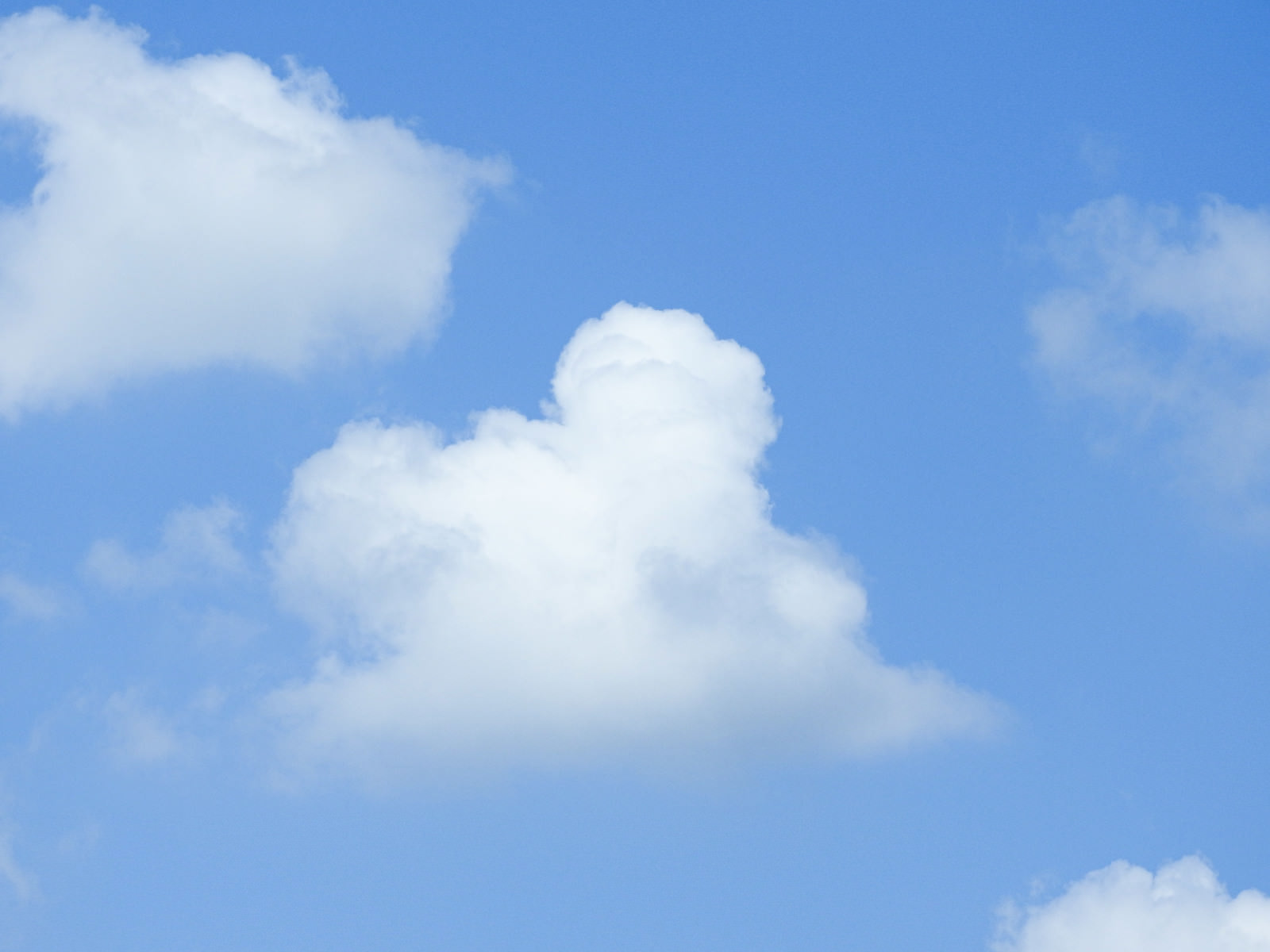 青空に白くてふわふわした雲が浮かんでいる自然の風景
