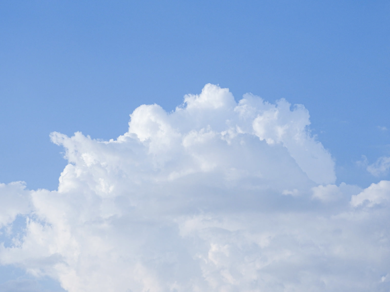 青空に白い積乱雲がもくもくと立ち上がる夏の風景
