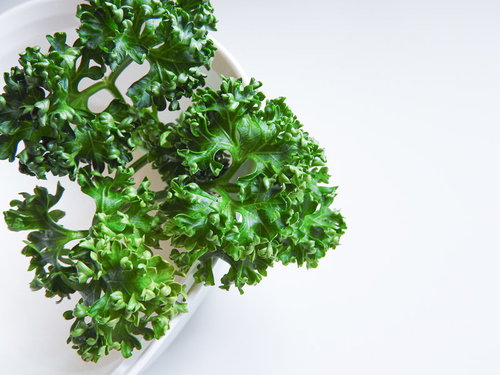 白い背景に置かれた新鮮な添え物のパセリの葉