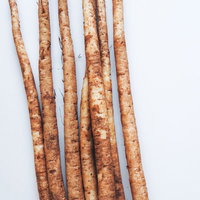 土を落とした細長い茶色のゴボウの写真