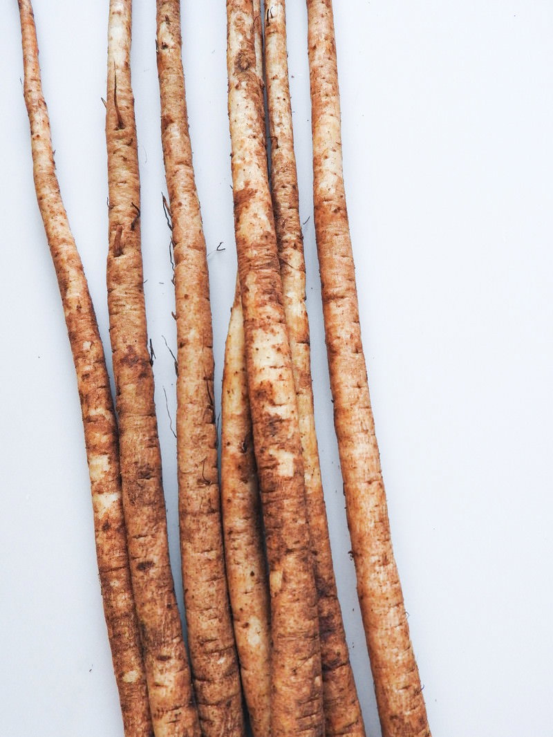 土を落とした細長い茶色のゴボウが複数本並んでいる