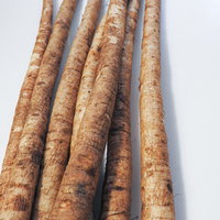 茶色い表皮の細長いゴボウの写真