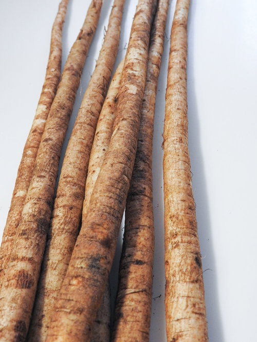 茶色い表皮の細長いゴボウ