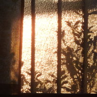 夕陽が差し込む窓辺のシルエット。オレンジ色の光と窓枠の写真