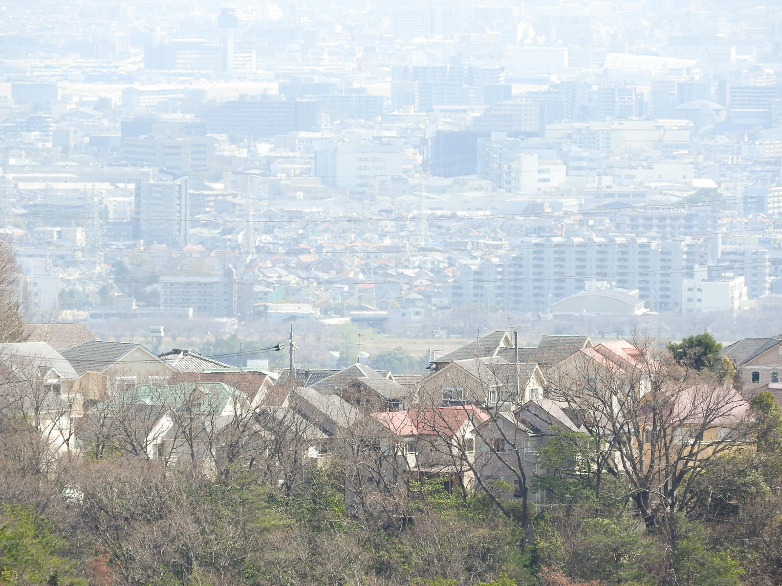 丘の上から見下ろした住宅地の街並み、屋根が連なり霞がかった風景