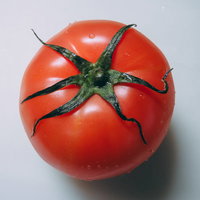 ヘタがしおれたトマト（水滴つき）の写真