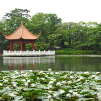 池に広がる睡蓮と赤い東屋 日本庭園の水生植物風景の写真