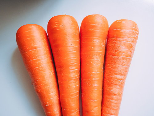 白い背景に並んだ4本の新鮮なニンジンの野菜