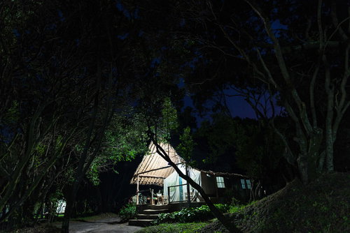 民族柄サルエルパンツを履いた男性