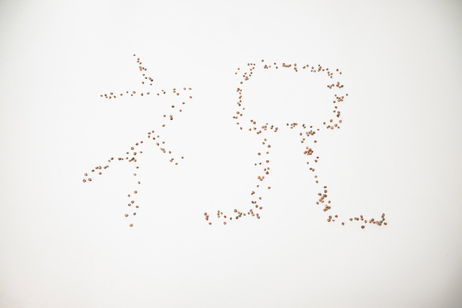 小さい種を並べて作られた祝という文字