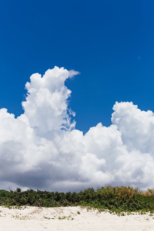 白い砂浜から見上げた青空と大きな積乱雲の写真
