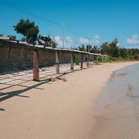 宮古島の白い砂浜に並ぶ立木と海へ延びる桟橋の写真