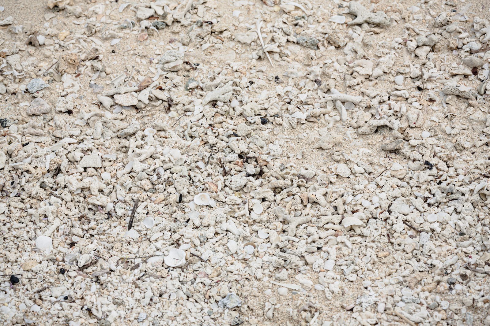 サンゴ砂でできた南国の砂浜（俯瞰）