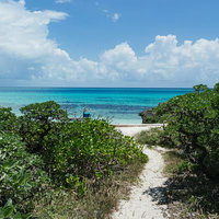 宮古島の砂浜へと続く道と青い海の風景の写真