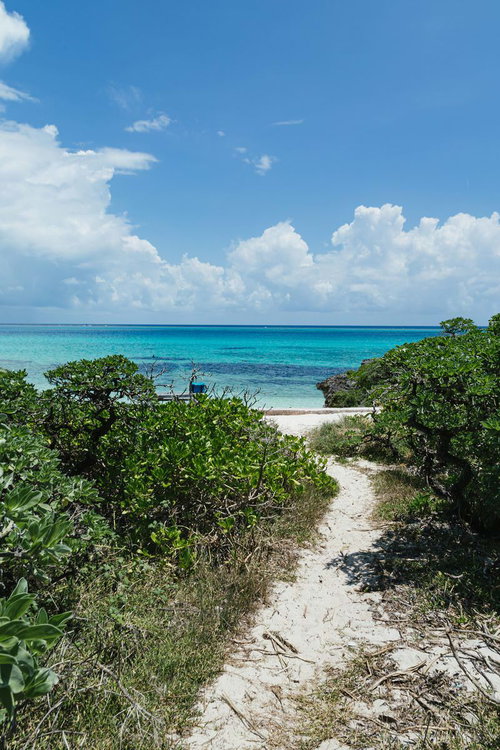 宮古島の砂浜へと続く道と青い海の風景