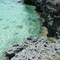 エメラルドグリーンの透明な海水と多孔質な隆起珊瑚岩の海岸の写真