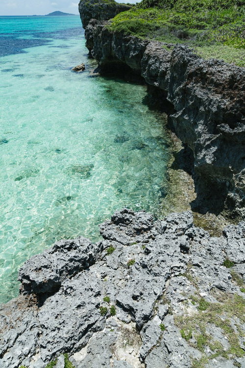 エメラルドグリーンの透明な海水と多孔質な隆起珊瑚岩の海岸の写真