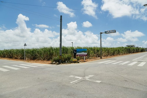 信号のない交差点と夏の空