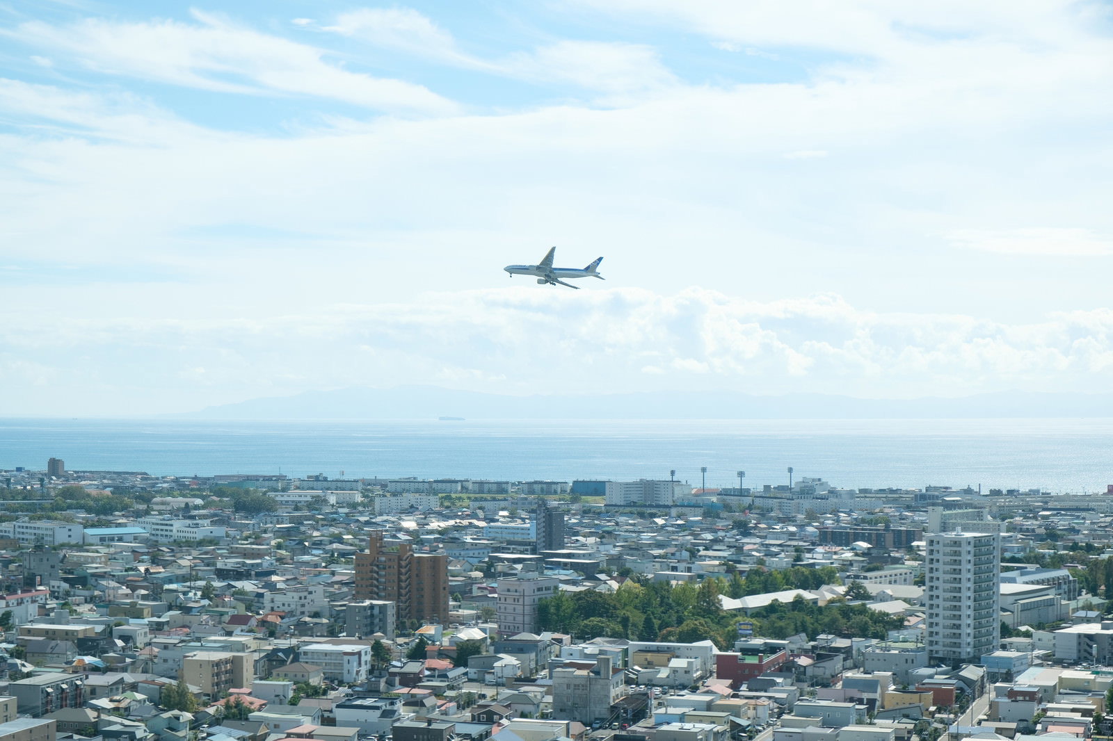 市街地の上空を旋回する白い旅客機と住宅街の風景