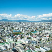 高台から見下ろす函館の市街地の写真