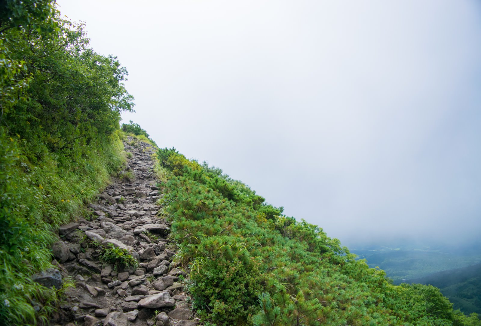 緑の植生に囲まれた石畳の登山道が山の斜面を上っていく様子