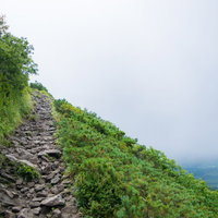 山の斜面に続く石畳の登山道と緑豊かな植生の写真