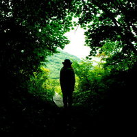 新緑の山道を歩く人のシルエット、木漏れ日の森でハイキングの写真