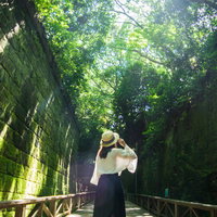 猿島の新緑の森で木漏れ日を全身で感じている女性の写真