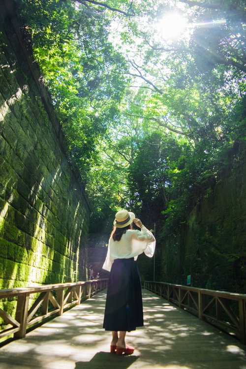 猿島の新緑の森で木漏れ日を全身で感じている女性