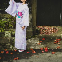 暖簾の前で天を仰ぐ浴衣姿の女性が見上げる夏の風情の写真