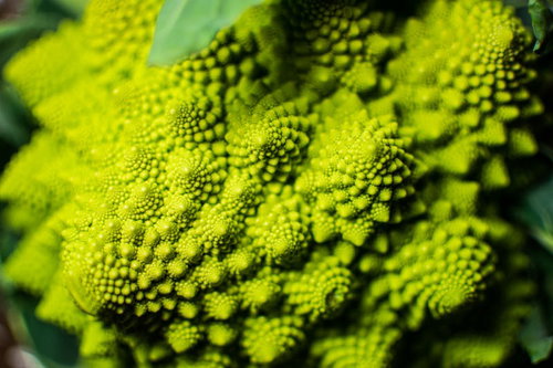 ごつごつしたロマネスコのアップ
