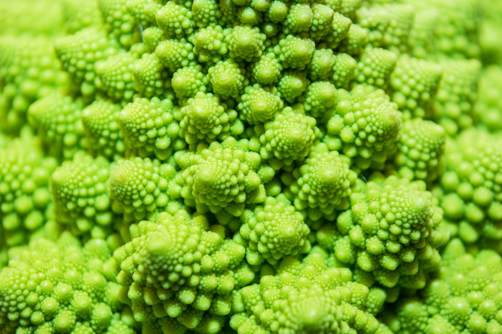 ロマネスコの表面クローズアップ