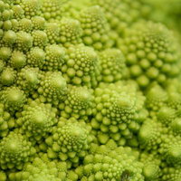 ロマネスコのつぶつぶの写真