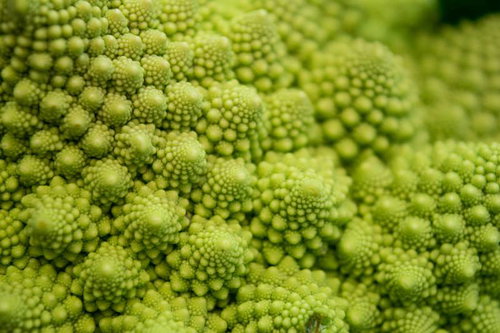 ロマネスコのつぶつぶ