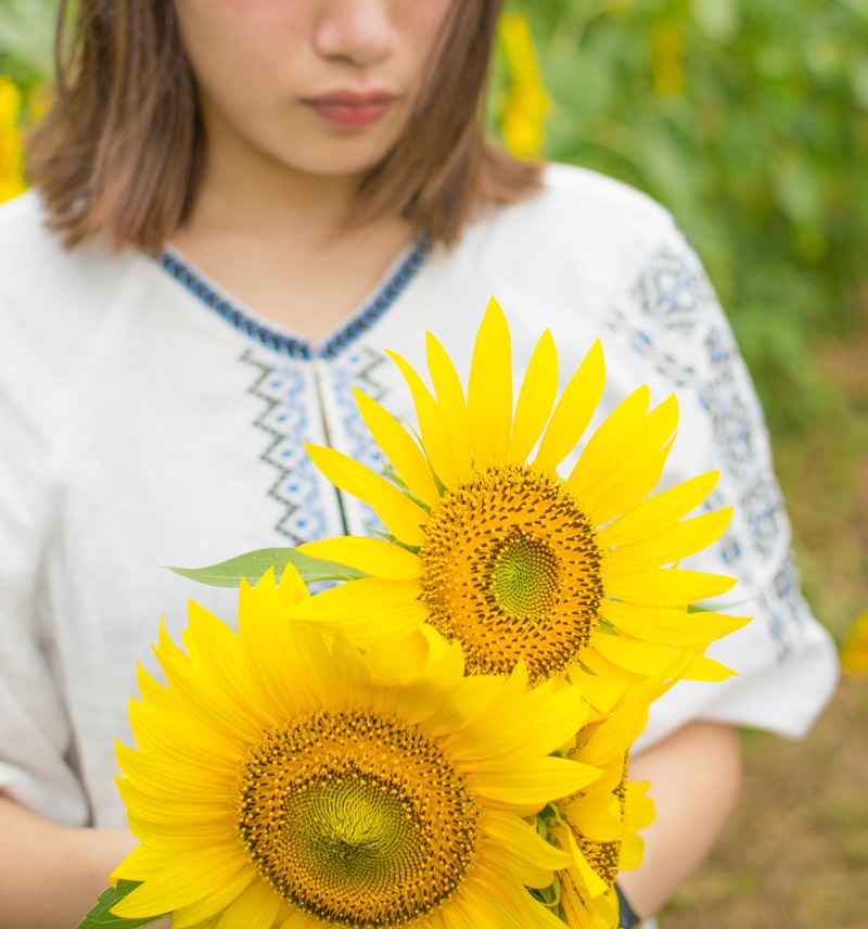 白いトップスを着た女性が黄色い向日葵の花を両手で抱えている