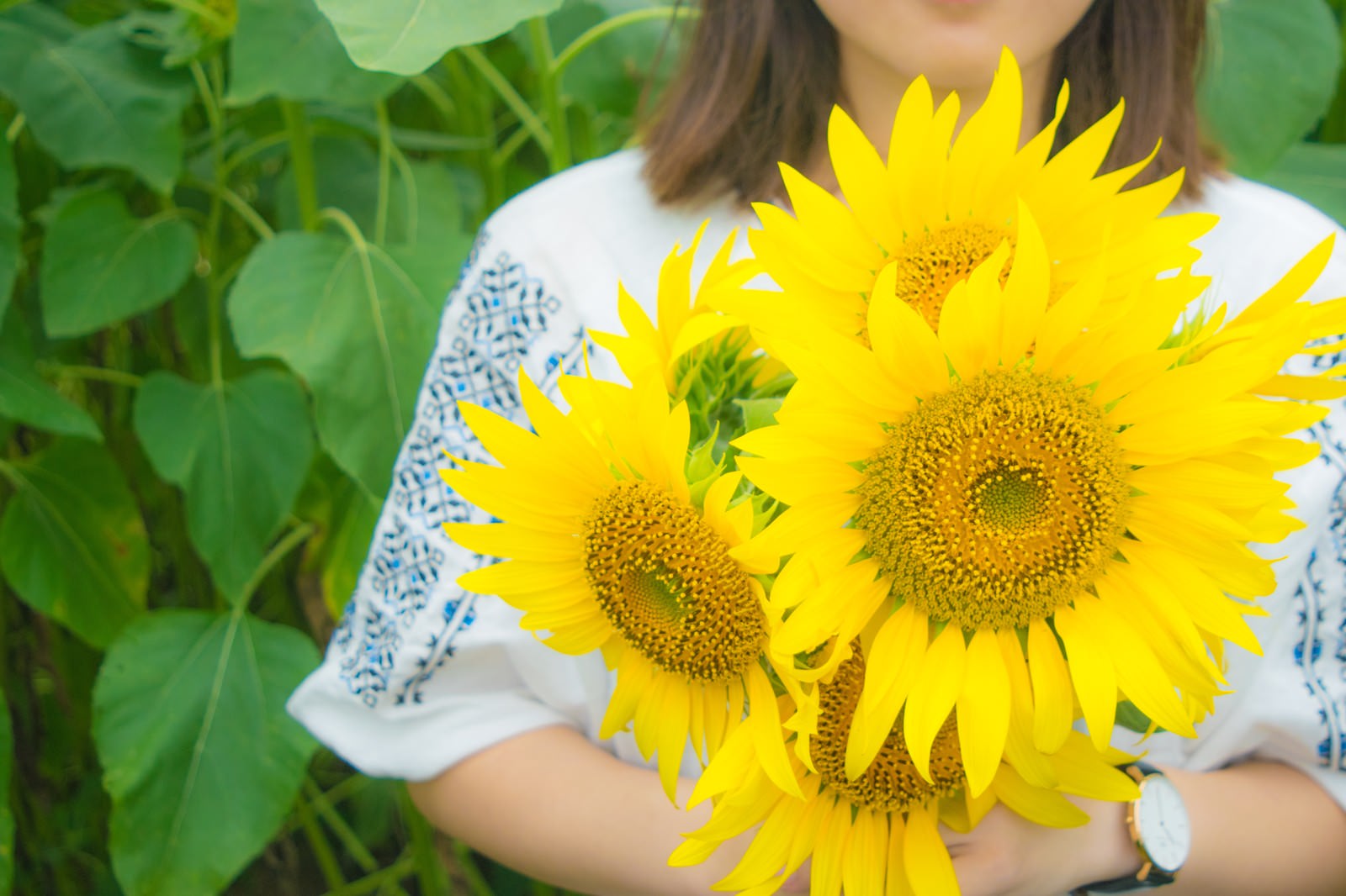 大きな黄色い向日葵の花を両手で持つ女性