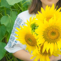 夏の向日葵の花を持った女性のポートレートの写真