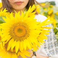 夏色ひまわり畑で大きな花を手にする笑顔の女性の写真