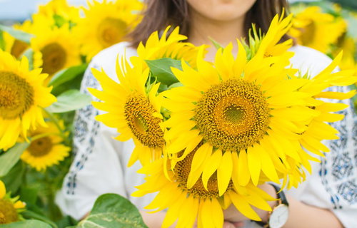向日葵に囲まれて笑顔の女性、夏の屋外ポートレート