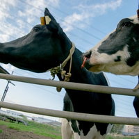 あいつ出荷かな？えっまじで！？の写真